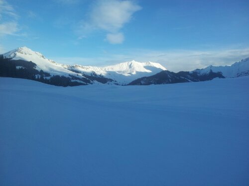 20130120_092312.jpg image