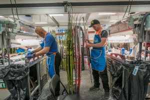 2014-06-01 NSF Sognefjellet Smoerere-0136